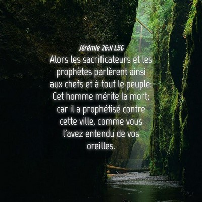 Picture 04 - Jérémie 26:11 LSG - Alors les sacrificateurs et les prophètes - Bible Verse Picture