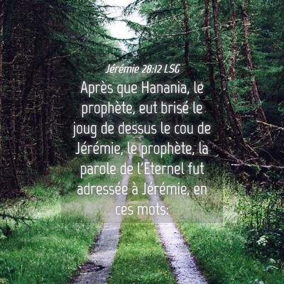 Picture 04 - Jérémie 28:12 LSG - Après que Hanania, le prophète, eut brisé le - Bible Verse Picture