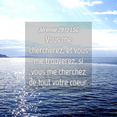 Picture 04 - Jérémie 29:13 LSG - Vous me chercherez, et vous me trouverez, si vous - Bible Verse Picture