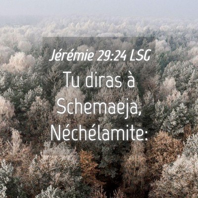 Picture 04 - Jérémie 29:24 LSG - Tu diras à Schemaeja, - Bible Verse Picture