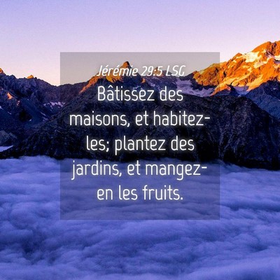 Picture 04 - Jérémie 29:5 LSG - Bâtissez des maisons, et habitez-les; plantez - Bible Verse Picture