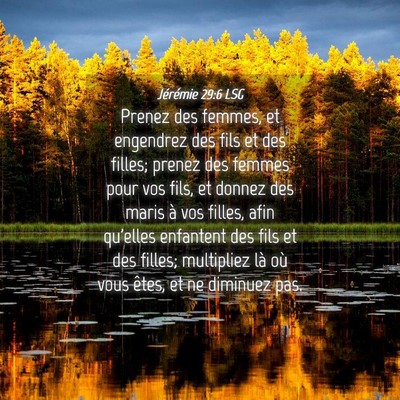 Picture 04 - Jérémie 29:6 LSG - Prenez des femmes, et engendrez des fils et des - Bible Verse Picture