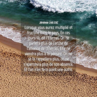 Picture 04 - Jérémie 3:16 LSG - Lorsque vous aurez multiplié et fructifié dans - Bible Verse Picture