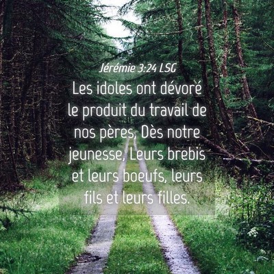 Picture 04 - Jérémie 3:24 LSG - Les idoles ont dévoré le produit du travail de - Bible Verse Picture