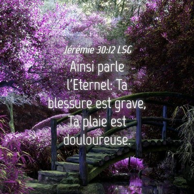 Picture 04 - Jérémie 30:12 LSG - Ainsi parle l'Eternel: Ta blessure est grave, Ta - Bible Verse Picture