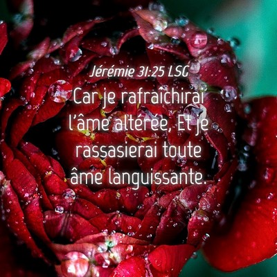 Picture 04 - Jérémie 31:25 LSG - Car je rafraîchirai l'âme altérée, Et je - Bible Verse Picture