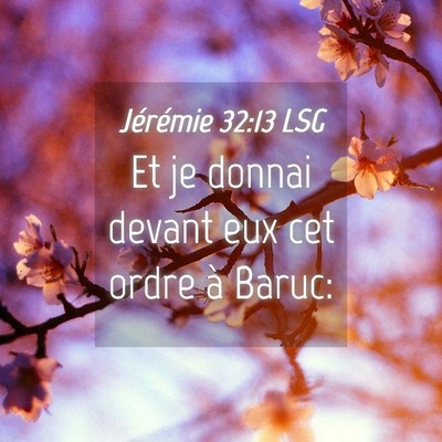 Picture 04 - Jérémie 32:13 LSG - Et je donnai devant eux cet ordre à - Bible Verse Picture