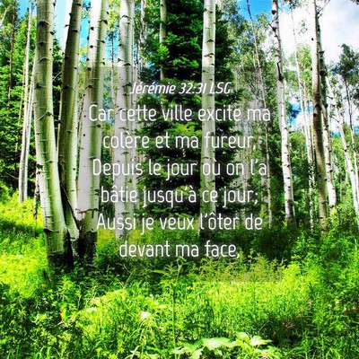 Picture 04 - Jérémie 32:31 LSG - Car cette ville excite ma colère et ma fureur, - Bible Verse Picture
