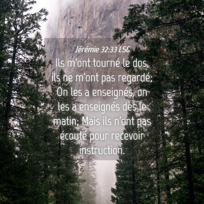 Picture 04 - Jérémie 32:33 LSG - Ils m'ont tourné le dos, ils ne m'ont pas - Bible Verse Picture