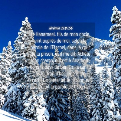 Picture 04 - Jérémie 32:8 LSG - Et Hanameel, fils de mon oncle, vint auprès de - Bible Verse Picture