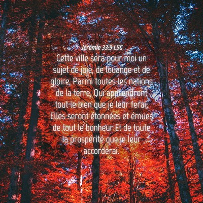 Picture 04 - Jérémie 33:9 LSG - Cette ville sera pour moi un sujet de joie, de - Bible Verse Picture