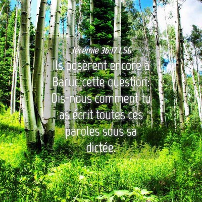Picture 04 - Jérémie 36:17 LSG - Ils posèrent encore à Baruc cette question: - Bible Verse Picture
