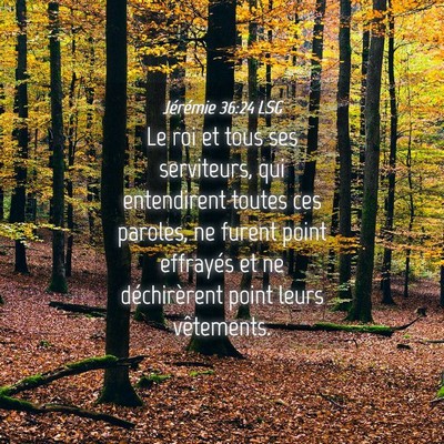 Picture 04 - Jérémie 36:24 LSG - Le roi et tous ses serviteurs, qui entendirent - Bible Verse Picture