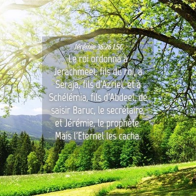 Picture 04 - Jérémie 36:26 LSG - Le roi ordonna à Jerachmeel, fils du roi, à - Bible Verse Picture