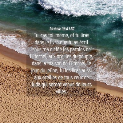 Picture 04 - Jérémie 36:6 LSG - Tu iras toi-même, et tu liras dans le livre que - Bible Verse Picture