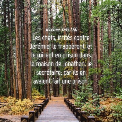 Picture 04 - Jérémie 37:15 LSG - Les chefs, irrités contre Jérémie, le - Bible Verse Picture