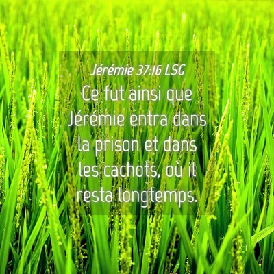 Picture 04 - Jérémie 37:16 LSG - Ce fut ainsi que Jérémie entra dans la prison - Bible Verse Picture