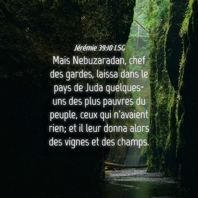 Picture 04 - Jérémie 39:10 LSG - Mais Nebuzaradan, chef des gardes, laissa dans le - Bible Verse Picture