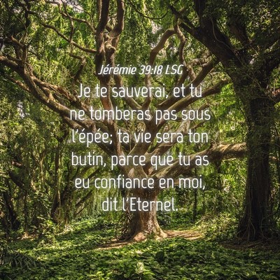 Picture 04 - Jérémie 39:18 LSG - Je te sauverai, et tu ne tomberas pas sous - Bible Verse Picture