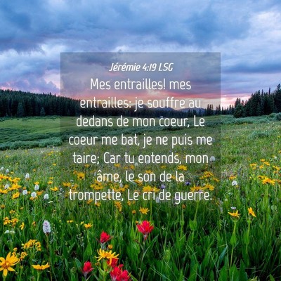 Picture 04 - Jérémie 4:19 LSG - Mes entrailles! mes entrailles: je souffre au - Bible Verse Picture