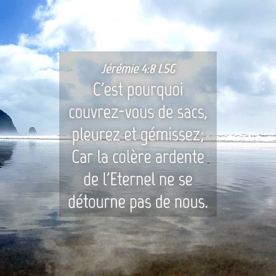Picture 04 - Jérémie 4:8 LSG - C'est pourquoi couvrez-vous de sacs, pleurez et - Bible Verse Picture