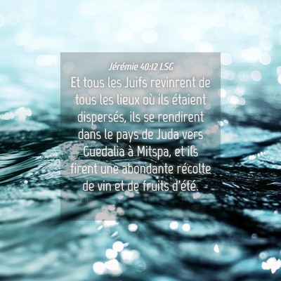 Picture 04 - Jérémie 40:12 LSG - Et tous les Juifs revinrent de tous les lieux où - Bible Verse Picture