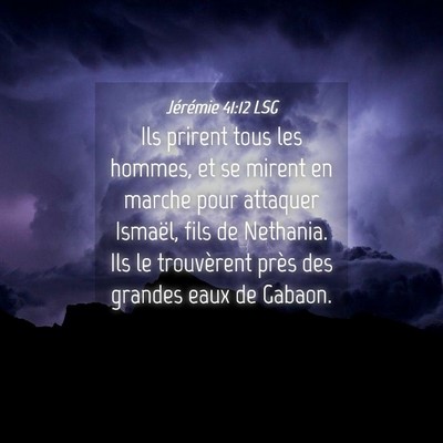 Picture 04 - Jérémie 41:12 LSG - Ils prirent tous les hommes, et se mirent en - Bible Verse Picture