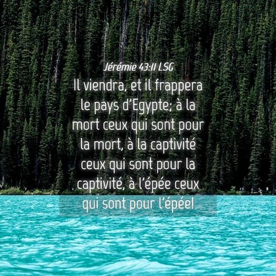 Picture 04 - Jérémie 43:11 LSG - Il viendra, et il frappera le pays d'Egypte; à - Bible Verse Picture