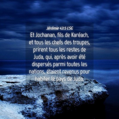 Picture 04 - Jérémie 43:5 LSG - Et Jochanan, fils de Karéach, et tous les chefs - Bible Verse Picture