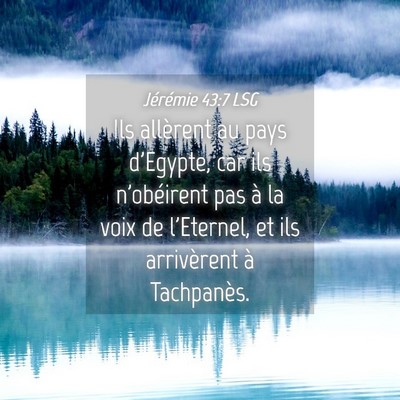 Picture 04 - Jérémie 43:7 LSG - Ils allèrent au pays d'Egypte, car ils - Bible Verse Picture