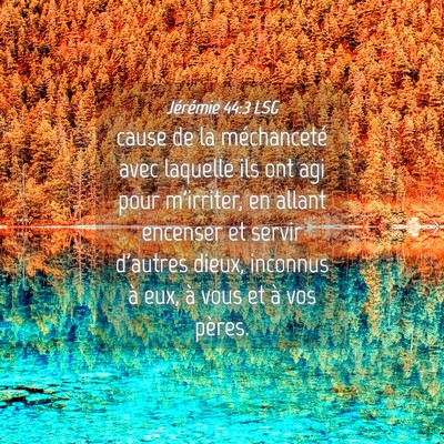 Picture 04 - Jérémie 44:3 LSG - cause de la méchanceté avec laquelle ils ont - Bible Verse Picture