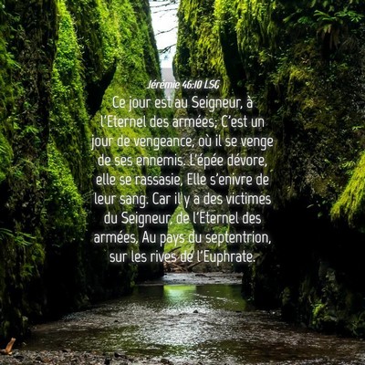 Picture 04 - Jérémie 46:10 LSG - Ce jour est au Seigneur, à l'Eternel des - Bible Verse Picture
