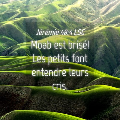 Picture 04 - Jérémie 48:4 LSG - Moab est brisé! Les petits font entendre leurs - Bible Verse Picture