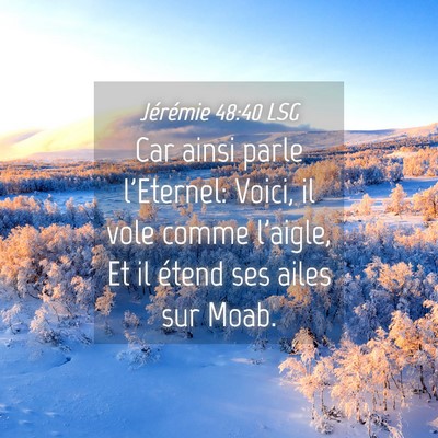 Picture 04 - Jérémie 48:40 LSG - Car ainsi parle l'Eternel: Voici, il vole comme - Bible Verse Picture