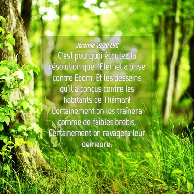 Picture 04 - Jérémie 49:20 LSG - C'est pourquoi écoutez la résolution que - Bible Verse Picture