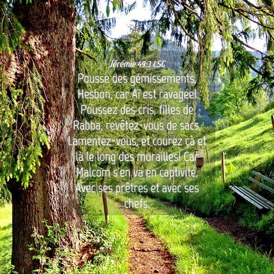 Picture 04 - Jérémie 49:3 LSG - Pousse des gémissements, Hesbon, car Aï est - Bible Verse Picture