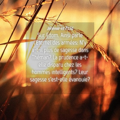 Picture 04 - Jérémie 49:7 LSG - Sur Edom. Ainsi parle l'Eternel des armées: N'y - Bible Verse Picture
