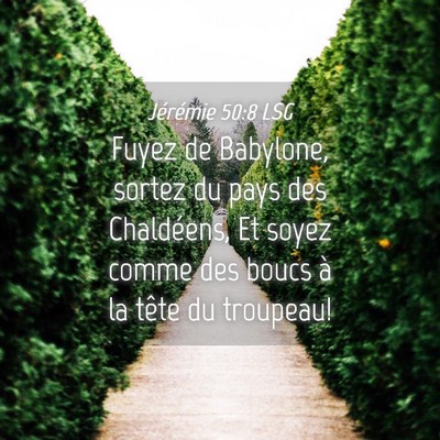 Picture 04 - Jérémie 50:8 LSG - Fuyez de Babylone, sortez du pays des Chaldéens, - Bible Verse Picture