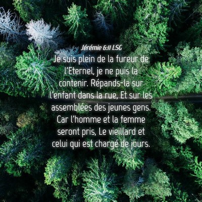 Picture 04 - Jérémie 6:11 LSG - Je suis plein de la fureur de l'Eternel, je ne - Bible Verse Picture