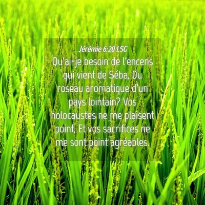 Picture 04 - Jérémie 6:20 LSG - Qu'ai-je besoin de l'encens qui vient de Séba, - Bible Verse Picture
