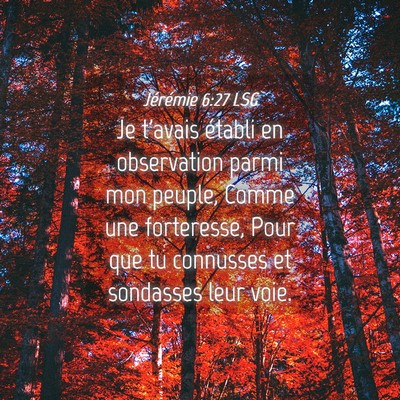 Picture 04 - Jérémie 6:27 LSG - Je t'avais établi en observation parmi mon - Bible Verse Picture
