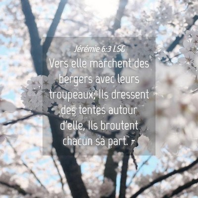 Picture 04 - Jérémie 6:3 LSG - Vers elle marchent des bergers avec leurs - Bible Verse Picture