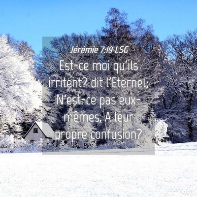 Picture 04 - Jérémie 7:19 LSG - Est-ce moi qu'ils irritent? dit l'Eternel; - Bible Verse Picture