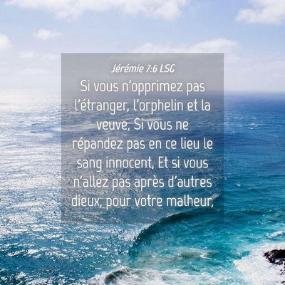 Picture 04 - Jérémie 7:6 LSG - Si vous n'opprimez pas l'étranger, l'orphelin et - Bible Verse Picture