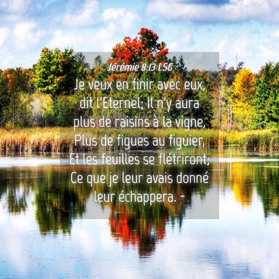 Picture 04 - Jérémie 8:13 LSG - Je veux en finir avec eux, dit l'Eternel; Il n'y - Bible Verse Picture