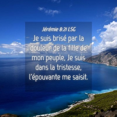 Picture 04 - Jérémie 8:21 LSG - Je suis brisé par la douleur de la fille de mon - Bible Verse Picture