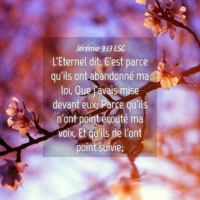 Picture 04 - Jérémie 9:13 LSG - L'Eternel dit: C'est parce qu'ils ont abandonné - Bible Verse Picture