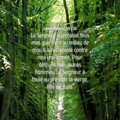 Picture 04 - Lamentations 1:15 LSG - Le Seigneur a terrassé tous mes guerriers au - Bible Verse Picture