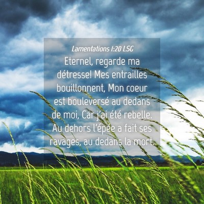 Picture 04 - Lamentations 1:20 LSG - Eternel, regarde ma détresse! Mes entrailles - Bible Verse Picture