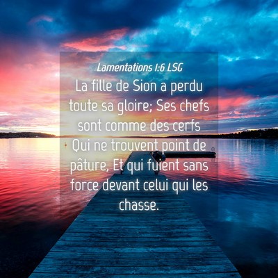 Picture 04 - Lamentations 1:6 LSG - La fille de Sion a perdu toute sa gloire; Ses - Bible Verse Picture